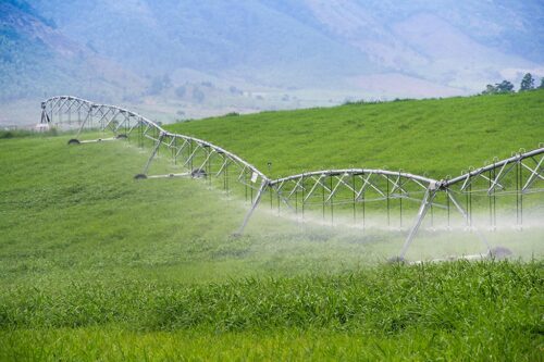 Tập đoàn TH góp phần thúc đẩy tiến trình trung hòa carbon ở Việt Nam